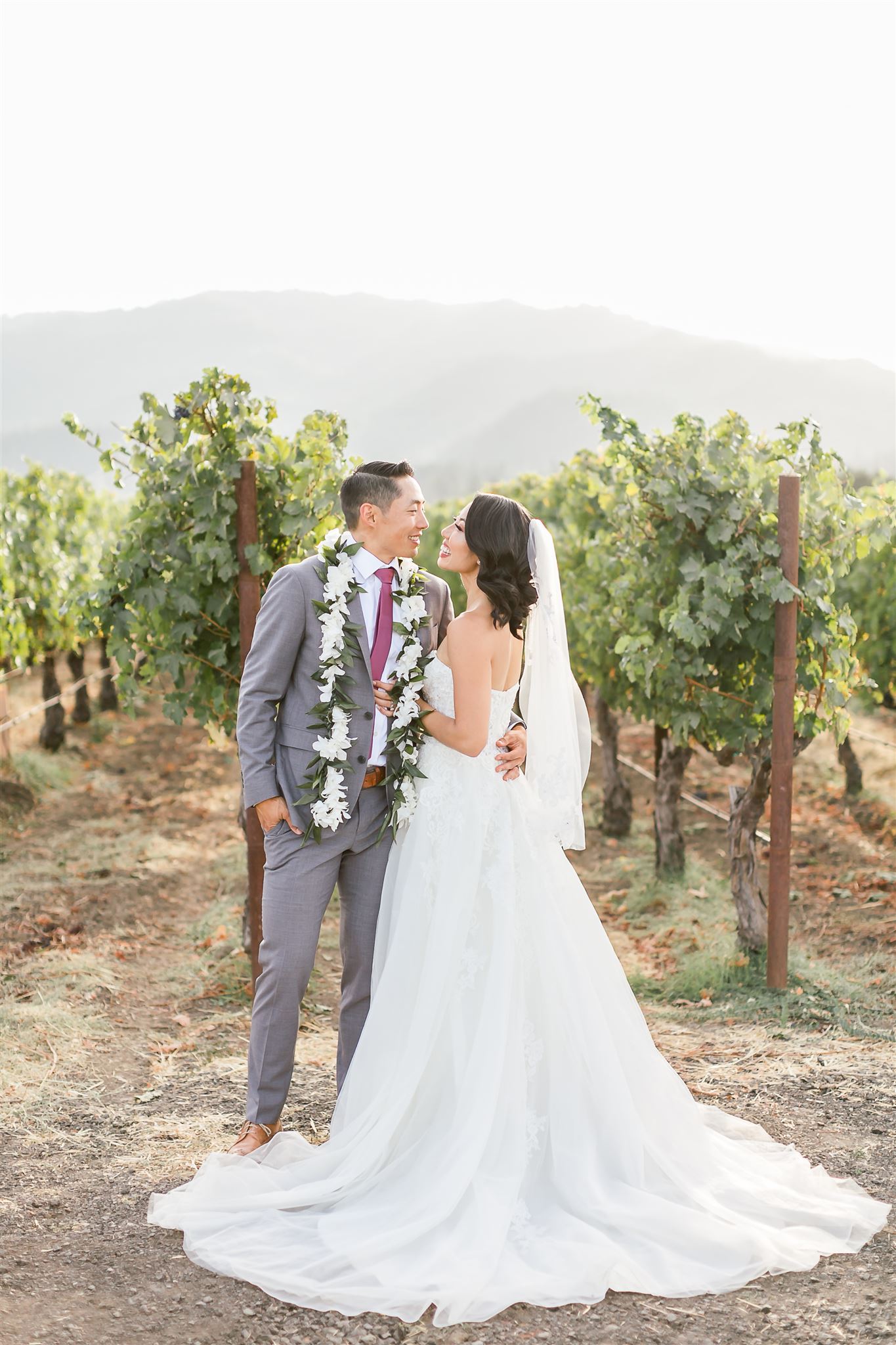 Bride and groom in vineyard