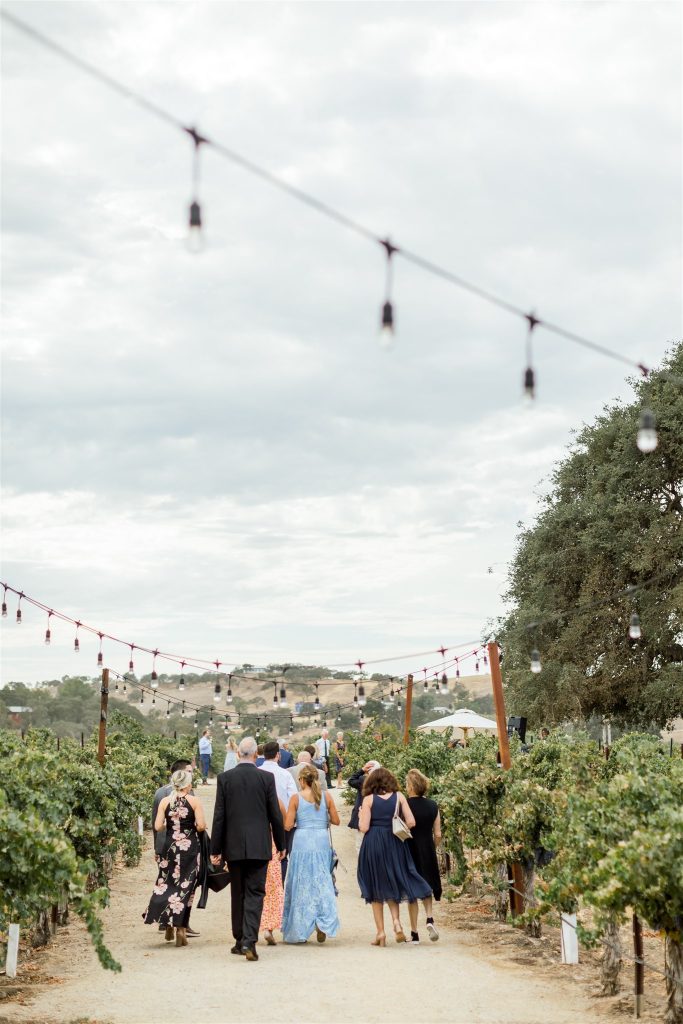 Cass winery wedding, San Luis Obispo wedding photographer, Paso Robles wedding photographer by Kelley Williams Photography