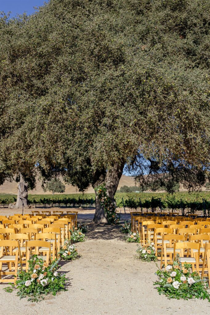 Cass Winery wedding, Cass winery wedding photographer, Cass Winery Paso Robles wedding, Paso Robles wedding photographer, Paso Robles winery wedding, Central Coast wedding photographer, vineyard wedding Paso Robles