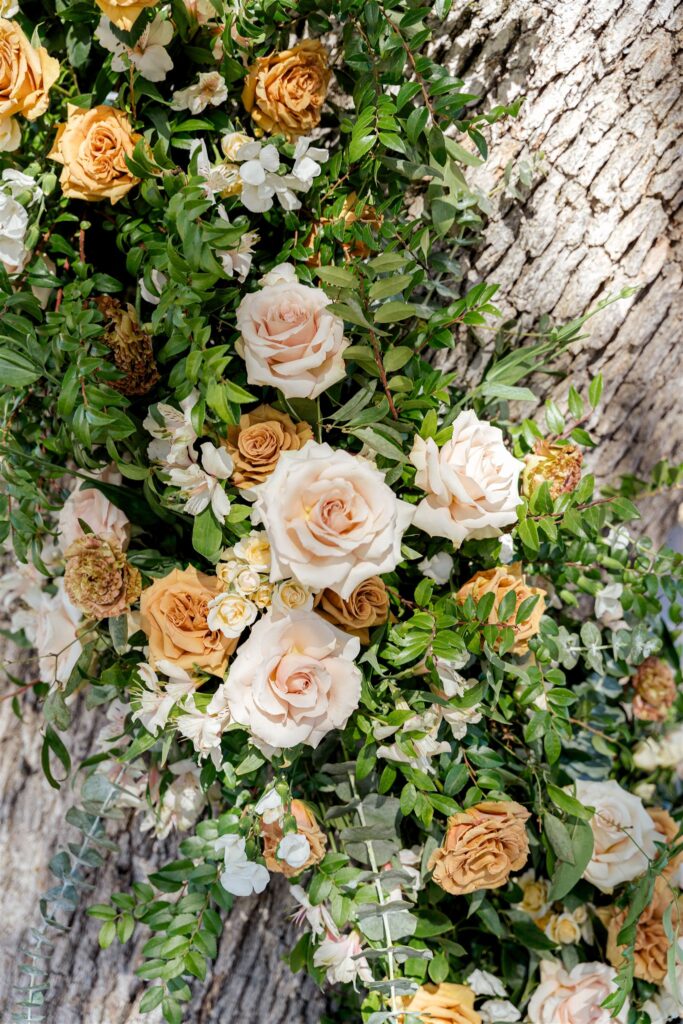 Cass Winery wedding, Cass winery wedding photographer, Cass Winery Paso Robles wedding, Paso Robles wedding photographer, Paso Robles winery wedding, Central Coast wedding photographer, vineyard wedding Paso Robles