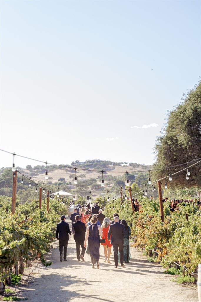 Cass Winery wedding, Cass winery wedding photographer, Cass Winery Paso Robles wedding, Paso Robles wedding photographer, Paso Robles winery wedding, Central Coast wedding photographer, vineyard wedding Paso Robles