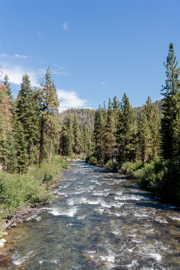 Everline Resort wedding, Everline Resort & Spa Lake Tahoe wedding, Everline Resort wedding photographer, Lake Tahoe wedding photographer, Lake Tahoe destination wedding, Hyatt Everline wedding, Lake Tahoe mountain wedding