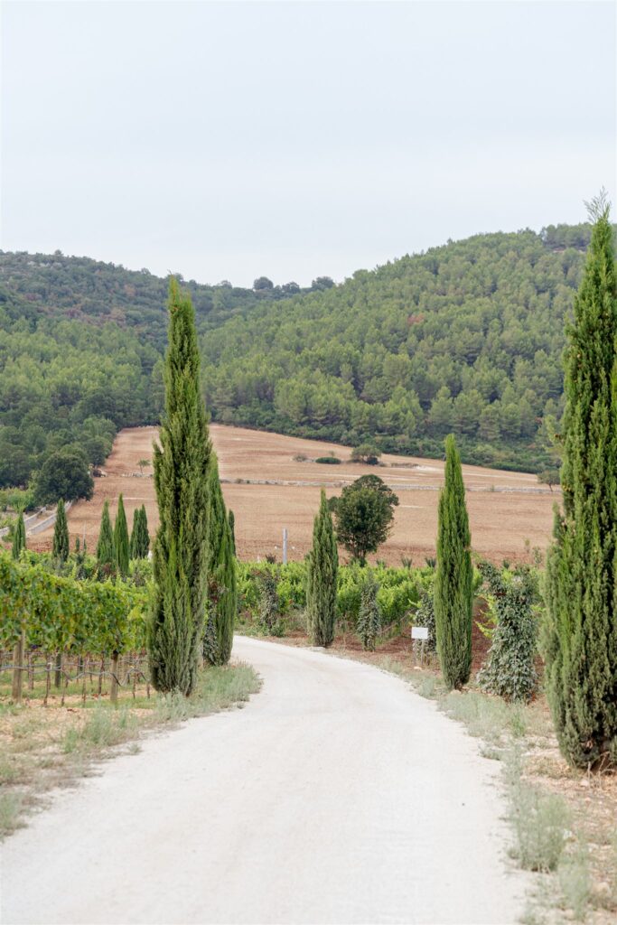 Masseria Pistola wedding photographer, Giardini Pistola wedding photographer, Masseria Pistola wedding, Giardini Pistola wedding venue, Puglia wedding photographer, destination wedding Italy, luxury Italian wedding venue