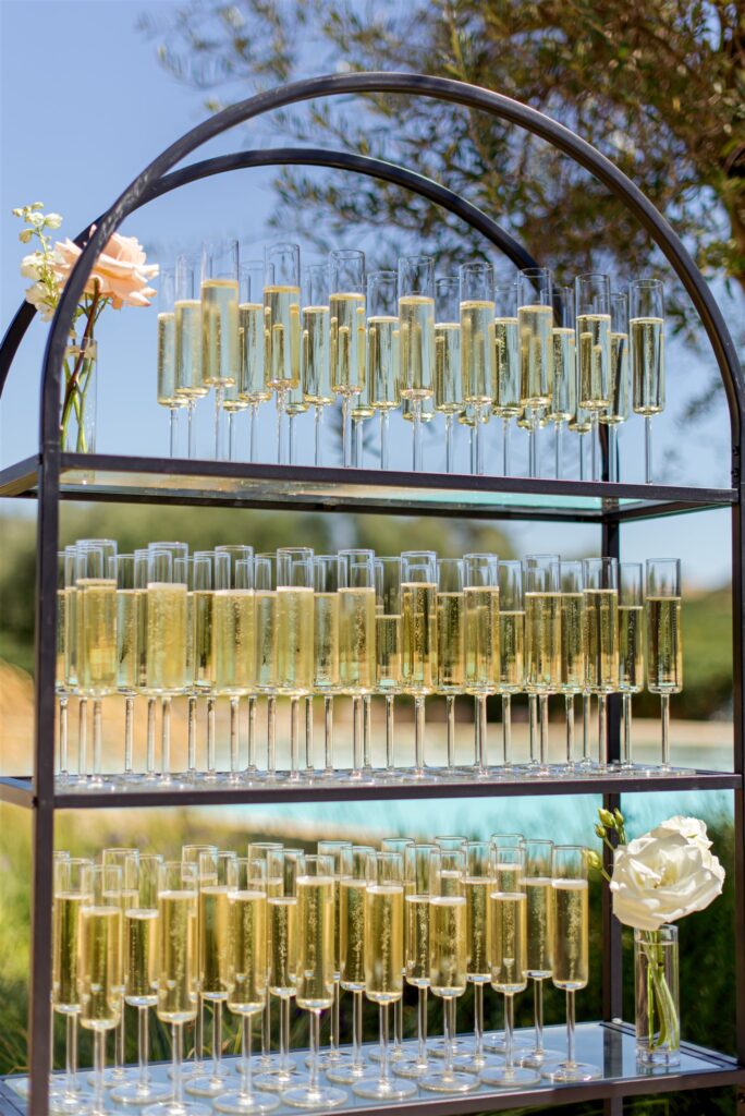 Paso Robles wedding photographer. Rava Winery wedding photographer. Rava Winery wedding. Paso Robles winery wedding. San Luis Obispo wedding photographer. Vineyard wedding in Paso Robles.