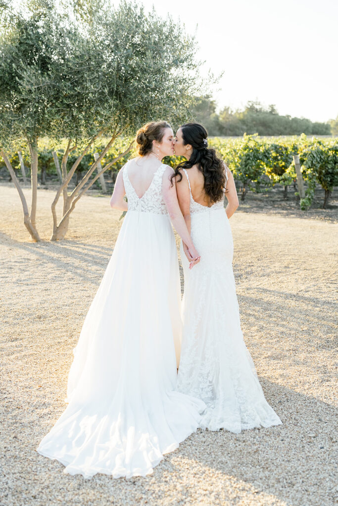 Biddle Ranch Winery, San Luis Obispo wedding, San Luis Obispo wedding photographer, winery wedding. 
