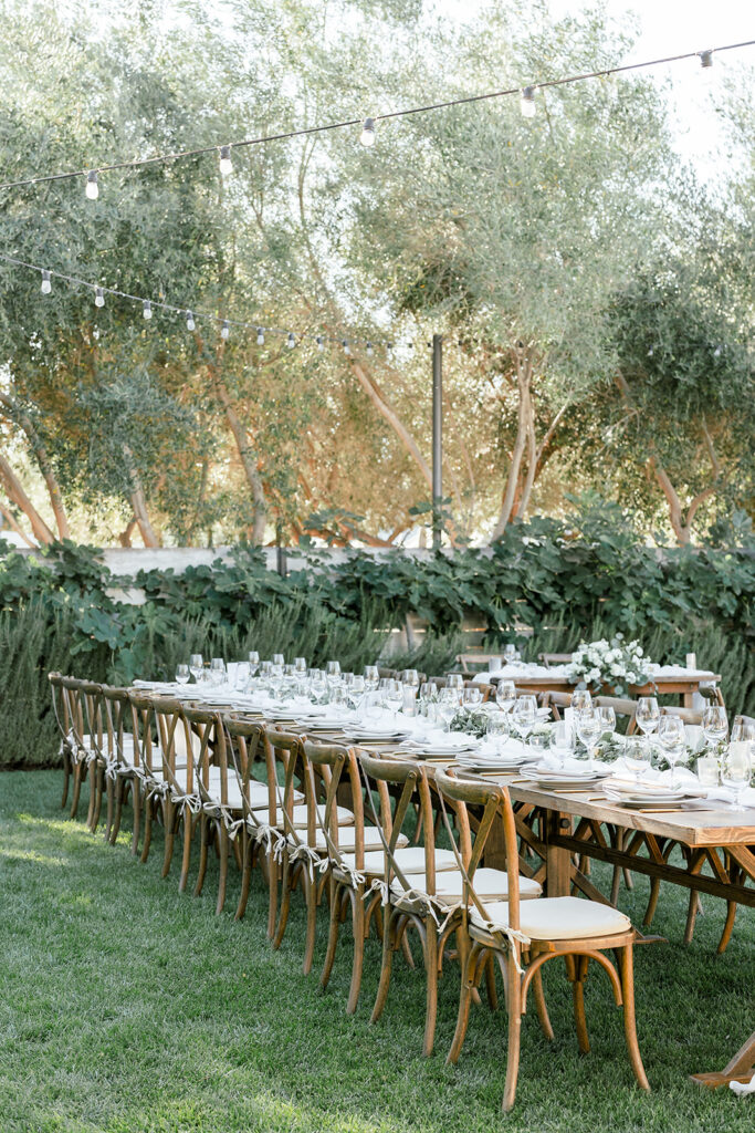 Biddle Ranch Winery, San Luis Obispo wedding, San Luis Obispo wedding photographer, winery wedding. 