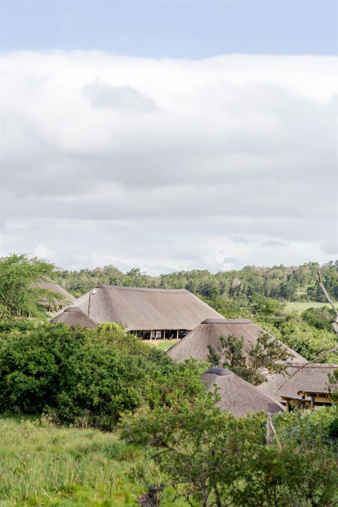 Cape Town wedding photographer. South Africa destination wedding. Lalibela Wildlife Reserve. Safari wedding experience South Africa. Luxury destination wedding South Africa