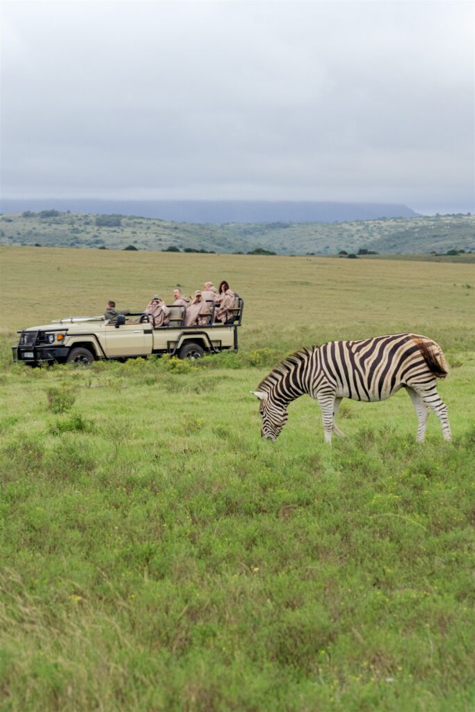 Cape Town wedding photographer. South Africa destination wedding. Lalibela Wildlife Reserve. Safari wedding experience South Africa. Luxury destination wedding South Africa