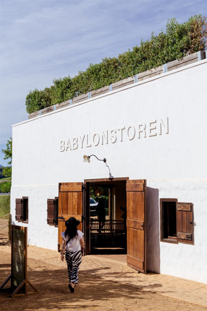 Cape Town destination wedding photographer at Chapman’s Peak. South Africa destination wedding photography in the Cape Winelands. Cape Town wedding weekend for international couples. Cape town wedding photographer.