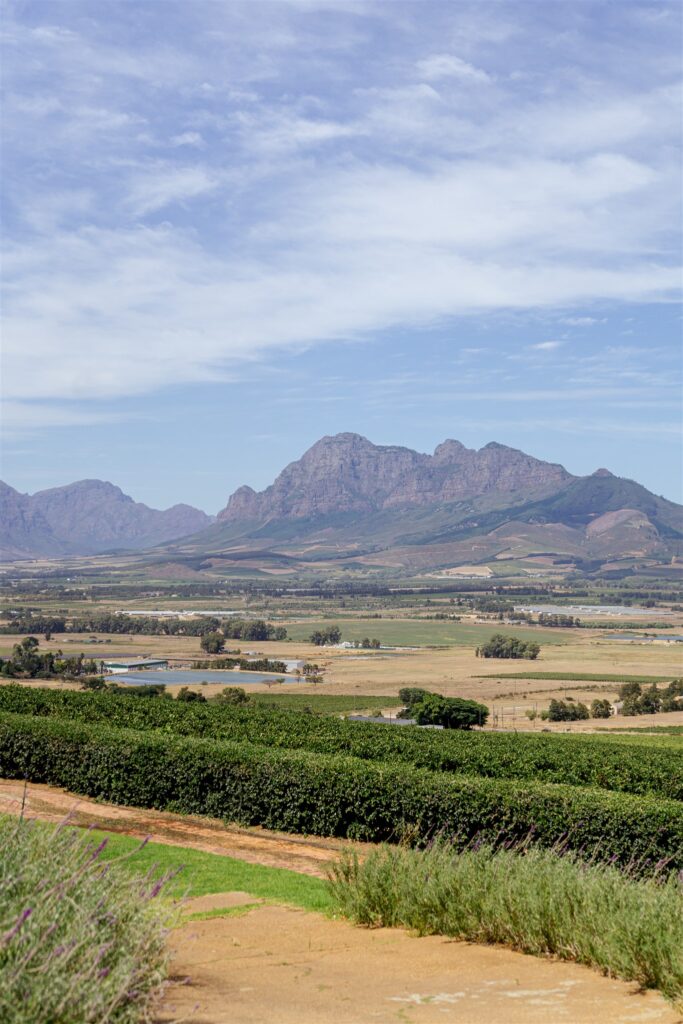 Cape Town destination wedding photographer at Chapman’s Peak. South Africa destination wedding photography in the Cape Winelands. Cape Town wedding weekend for international couples. Cape town wedding photographer.