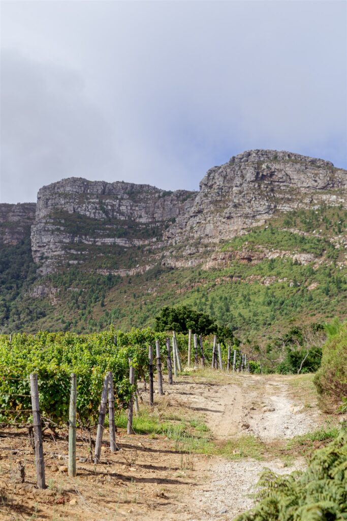 Cape Town destination wedding photographer at Chapman’s Peak. South Africa destination wedding photography in the Cape Winelands. Cape Town wedding weekend for international couples. Cape town wedding photographer.