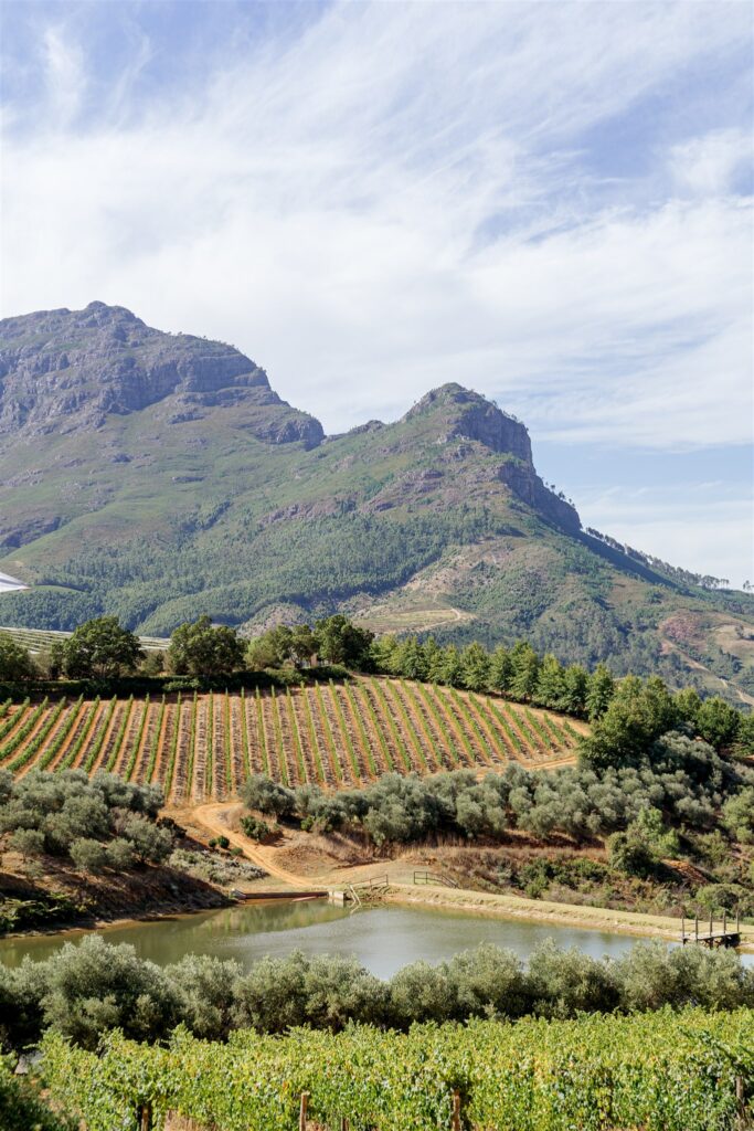 Cape Town destination wedding photographer at Chapman’s Peak. South Africa destination wedding photography in the Cape Winelands. Cape Town wedding weekend for international couples. Cape town wedding photographer.