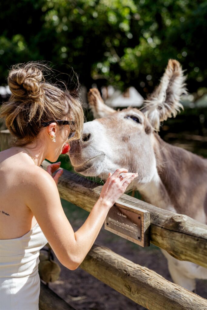 Cape Town destination wedding photographer at Chapman’s Peak. South Africa destination wedding photography in the Cape Winelands. Cape Town wedding weekend for international couples. Cape town wedding photographer.