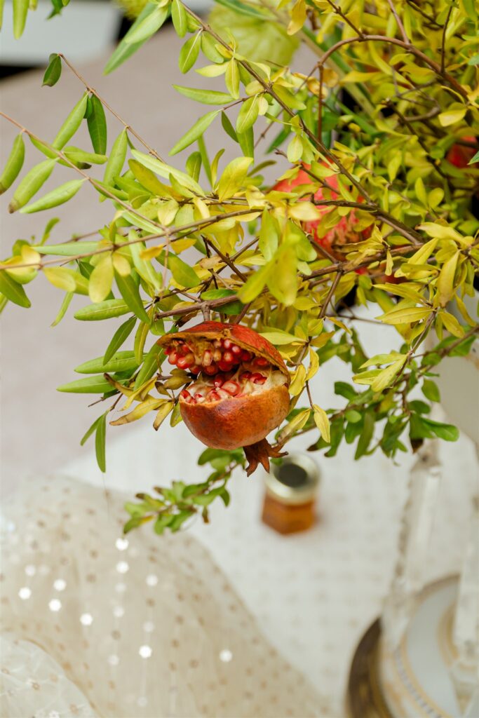 Carmel valley wedding photographer. Persian wedding photographer. San Luis Obispo wedding photographer. 