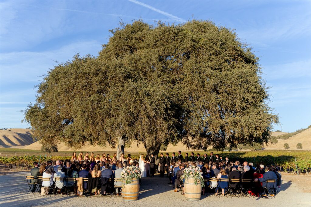 Cass winery wedding. Cass winery wedding photographer. Paso Robles wedding photographer. San Luis Obispo wedding photographer. 