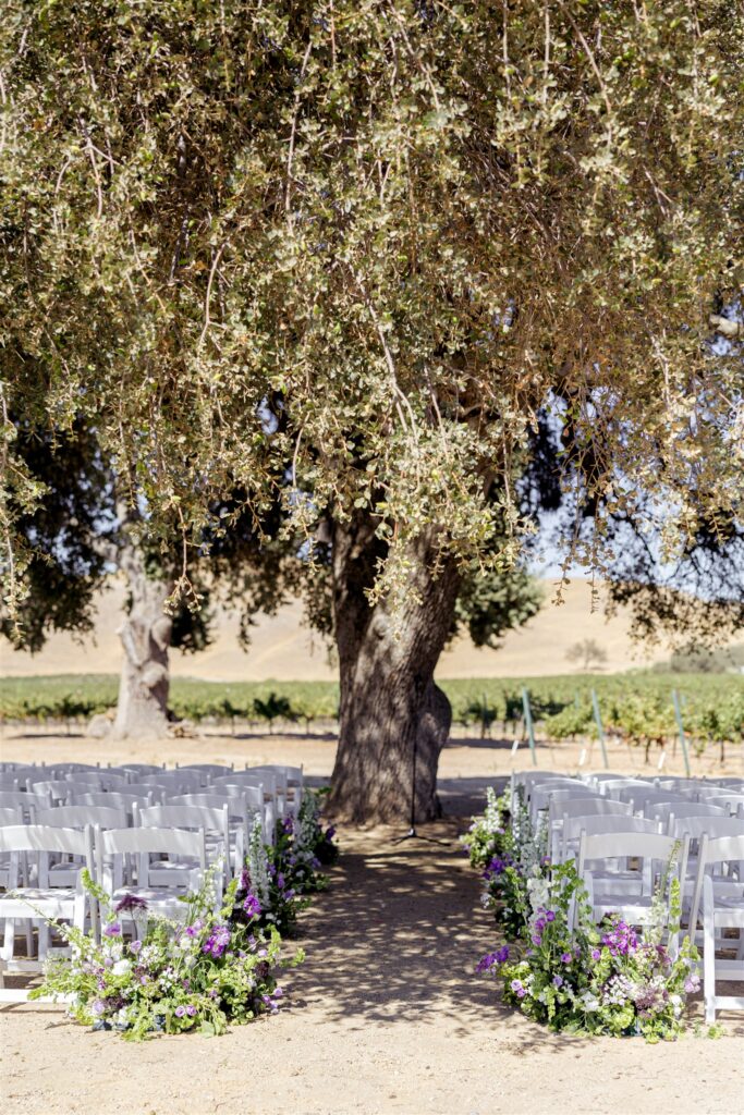 Cass Winery wedding, Cass winery wedding photographer, Cass Winery Paso Robles wedding, Paso Robles wedding photographer, Paso Robles winery wedding, Central Coast wedding photographer, vineyard wedding Paso Robles, Cass Winery wedding photos
