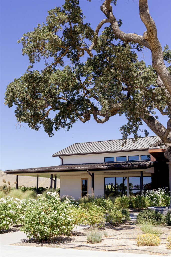 Cass Winery wedding, Cass winery wedding photographer, Cass Winery Paso Robles wedding, Paso Robles wedding photographer, Paso Robles winery wedding, Central Coast wedding photographer, vineyard wedding Paso Robles, Cass Winery wedding photos