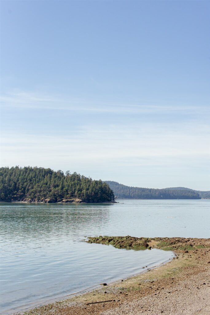 La Connor wedding. La Connor Washington wedding photographer. Seattle wedding photographer.