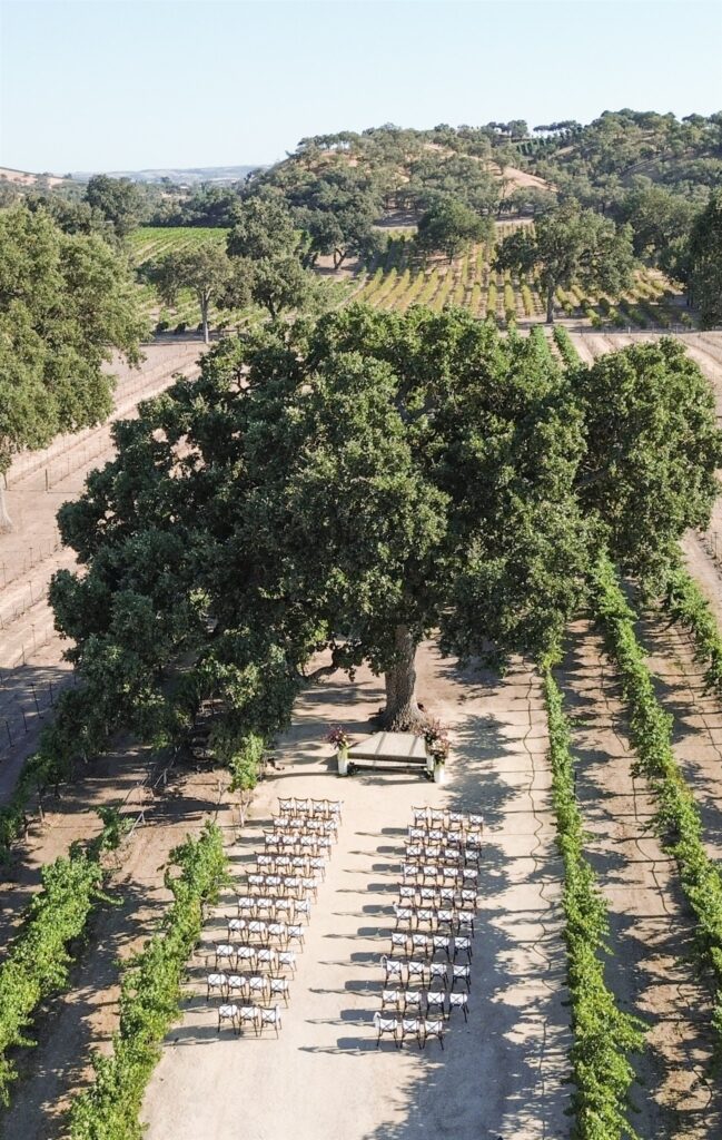 Sculpterra Winery wedding, Sculpterra Winery Paso Robles wedding, Paso Robles wedding photographer, Paso Robles winery wedding, Central Coast wedding photographer, San Luis Obispo wedding photographer