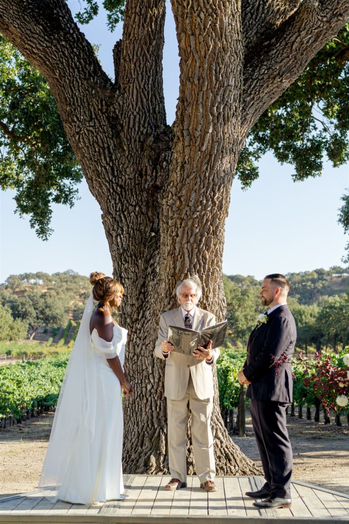 Sculpterra Winery wedding, Sculpterra Winery Paso Robles wedding, Paso Robles wedding photographer, Paso Robles winery wedding, Central Coast wedding photographer, San Luis Obispo wedding photographer