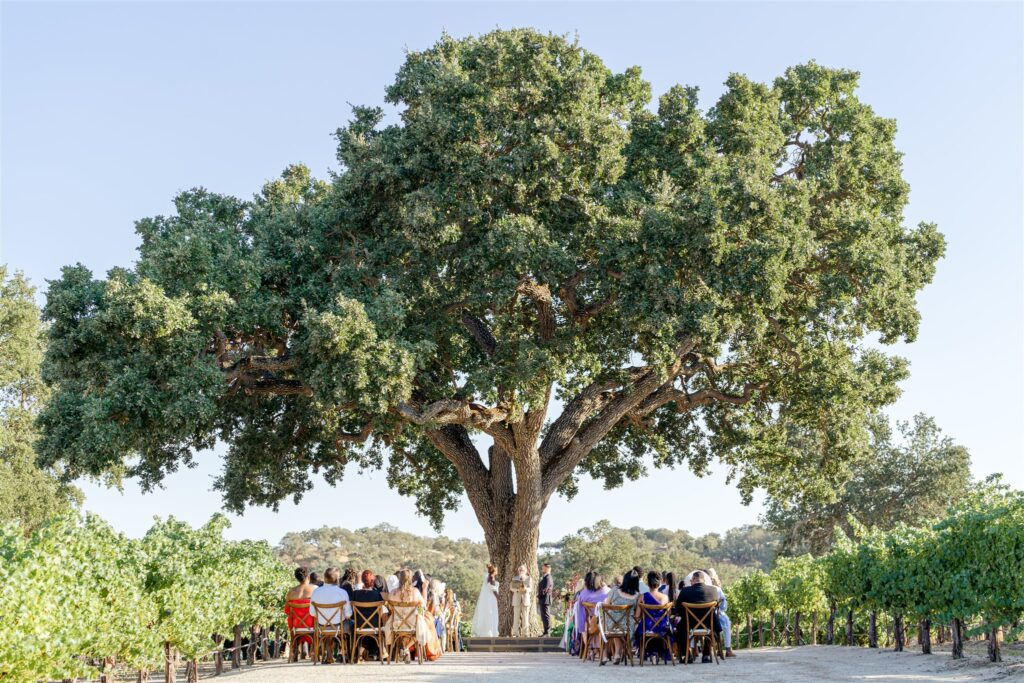 Sculpterra Winery wedding, Sculpterra Winery Paso Robles wedding, Paso Robles wedding photographer, Paso Robles winery wedding, Central Coast wedding photographer, San Luis Obispo wedding photographer