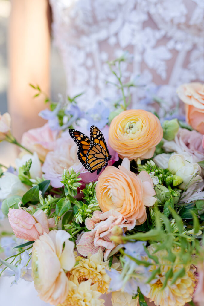 Rava winery wedding. Rava winery wedding photographer. Rava winery in Paso Robles. San Luis Obispo wedding photographer. Paso Robles wedding photographer.