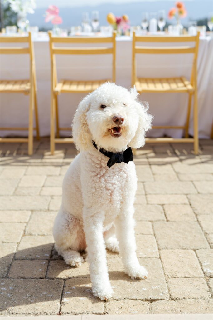 Riata Ranch wedding, Riata Ranch Santa Margarita, San Luis Obispo wedding photographer,