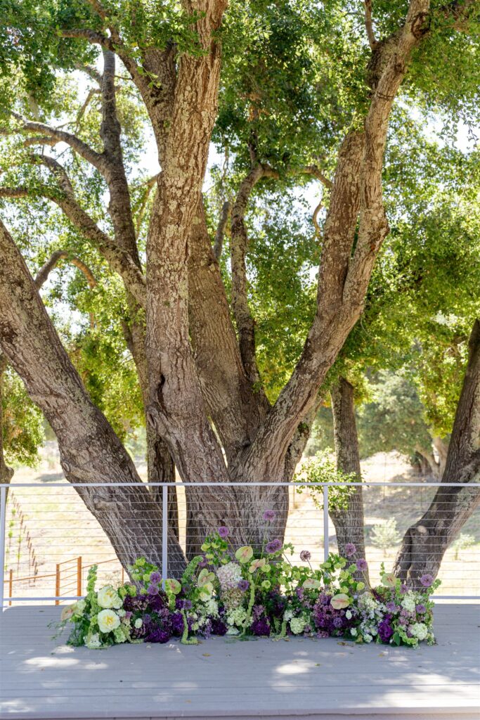 San Luis Obispo wedding photographer. Paso Robles wedding photographer. Oak and Vine wedding. Oak and Vine wedding photographer in Paso Robles