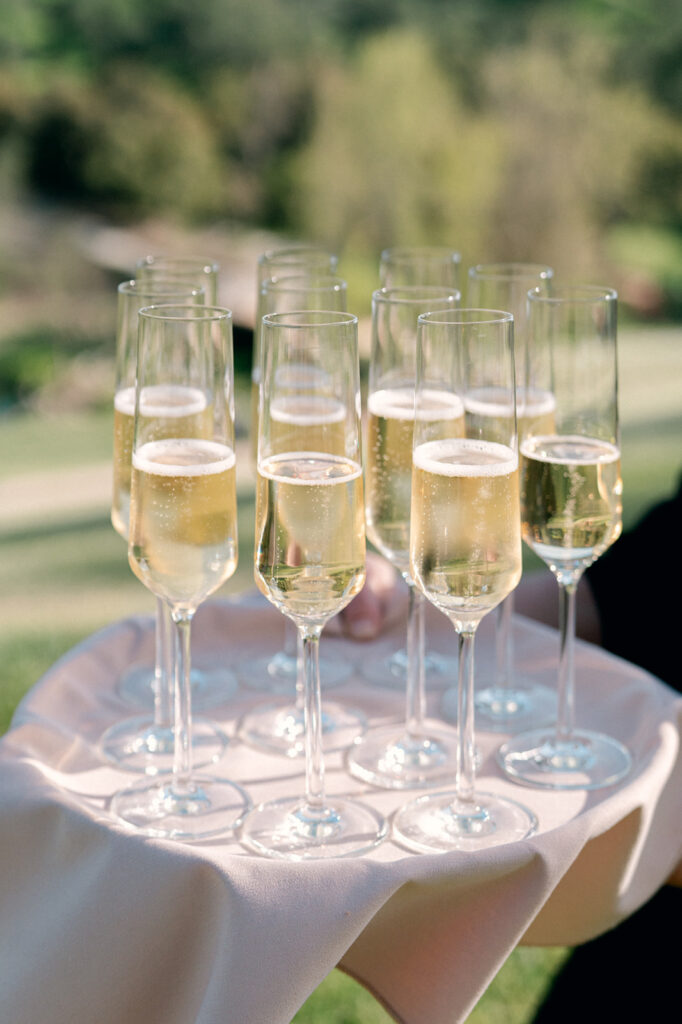 Santa Ynez wedding photographer. San Luis Obispo wedding photographer. Private estate wedding photographer. 